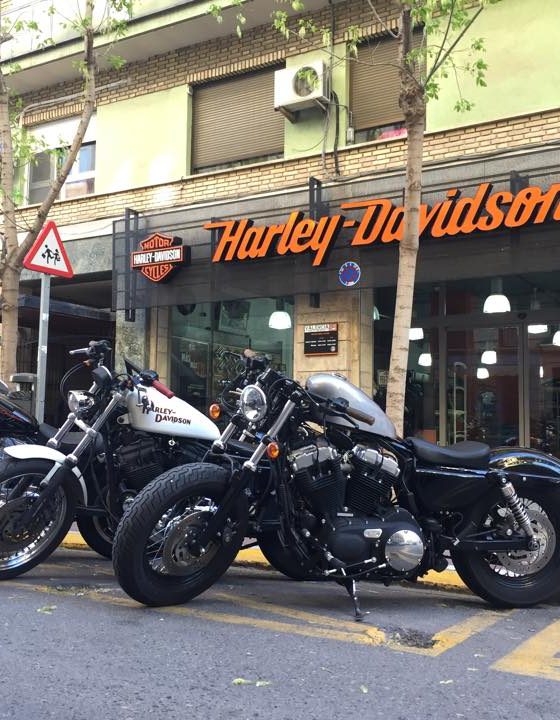 guitarra tienda brindis Nosotros - Harley Davidson Valencia
